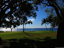 Latin America Championship 2016 selección viernes