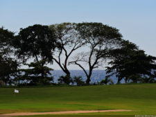 Latin America Championship 2016 selección viernes