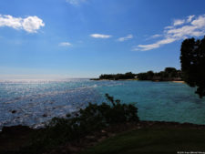 Latin America Championship 2016 selección viernes