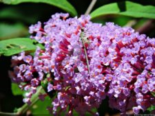 Las Galerías de un Abierto