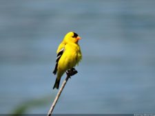 Las Galerías de un Abierto