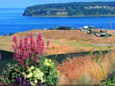 Las Galerías de un Abierto