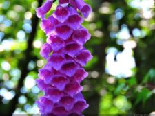 Las Galerías de un Abierto