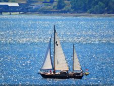 Las Galerías de un Abierto