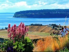 Las Galerías de un Abierto