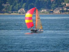 Las Galerías de un Abierto