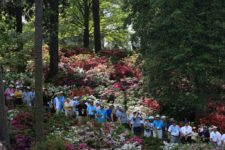 Los “Patrones” de Augusta National (cortesía © Augusta National 2015)