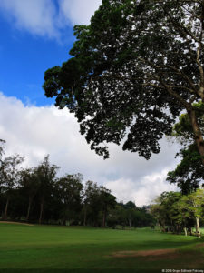 LXII Campeonato Nacional Amateur de Damas de Venezuela