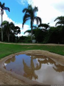 LXII Campeonato Nacional Amateur de Damas de Venezuela
