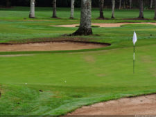 LXII Campeonato Nacional Amateur de Damas de Venezuela