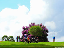 LXII Campeonato Nacional Amateur de Damas de Venezuela