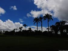 LXII Campeonato Nacional Amateur de Damas de Venezuela