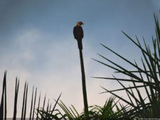 Galería de fotos del viernes y sábado en el LXII Campeonato Nacional Amateur de Damas en el Lagunita Country Club