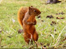 1er día XXXI Abierto de Venezuela