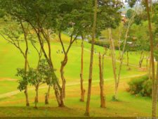 1er día XXXI Abierto de Venezuela