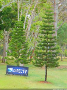 1er día XXXI Abierto de Venezuela