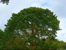 1er día XXXI Abierto de Venezuela