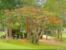 1er día XXXI Abierto de Venezuela