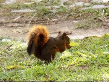 1er día XXXI Abierto de Venezuela