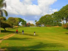 1er día XXXI Abierto de Venezuela