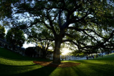 Masters Time (cortesía © Augusta National Inc 2016)