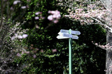 Masters Time (cortesía © Augusta National Inc 2016)