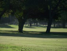Otto Solís ganó e igualó récord en X Abierto Sambil de Golf