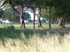 Otto Solís ganó e igualó récord en X Abierto Sambil de Golf