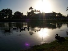 Otto Solís ganó e igualó récord en X Abierto Sambil de Golf