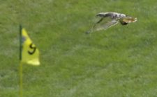 97º PGA Championship, 2do día (cortesía USA TODAY Sports & The PGA of America)