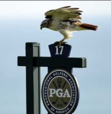 97º PGA Championship, 2do día (cortesía USA TODAY Sports & The PGA of America)