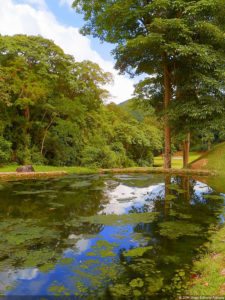 Posando en XI Abierto Sambil