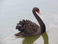 Posando para Fairway desde Bogotá