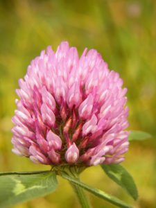 Posando para Fairway desde Bogotá