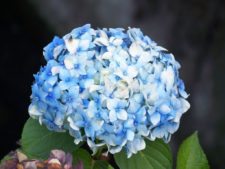 Posando para Fairway desde Bogotá