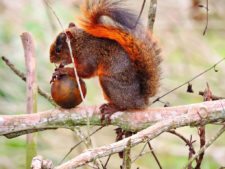 Público disfrutando del Abierto de Venezuela Copa DIRECTV