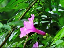 Selección 1ra Ronda XII Abierto Sambil presentado por Total Nutrition