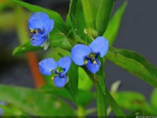 Selección 1ra Ronda XII Abierto Sambil presentado por Total Nutrition