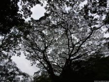 Selección 1ra Ronda XII Abierto Sambil presentado por Total Nutrition