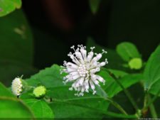 Selección 1ra Ronda XII Abierto Sambil presentado por Total Nutrition