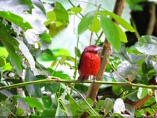 Selección 1ra Ronda XII Abierto Sambil presentado por Total Nutrition