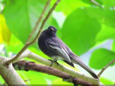 Selección 1ra Ronda XII Abierto Sambil presentado por Total Nutrition