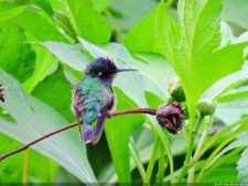 Selección 2da Ronda XII Abierto Sambil presentado por Total Nutrition