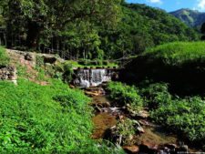 Selección 3ra ronda XII Abierto Sambil presentado por Total Nutrition