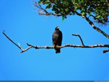 Selección 3ra ronda XII Abierto Sambil presentado por Total Nutrition