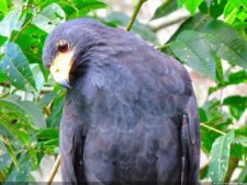 Selección 3ra ronda XII Abierto Sambil presentado por Total Nutrition