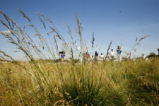 Muestra fotográfica memorable del 116º US Open en Oakmont Golf Club (cortesía © USGA 2016)