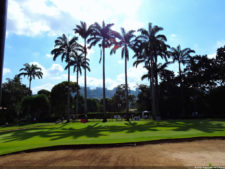 VAGC Campeonato Abierto de Menores 2016