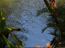 VAGC Campeonato Abierto de Menores 2016