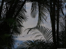 VAGC Campeonato Abierto de Menores 2016